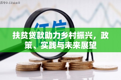 天元扶贫贷款助力乡村振兴，政策、实践与未来展望