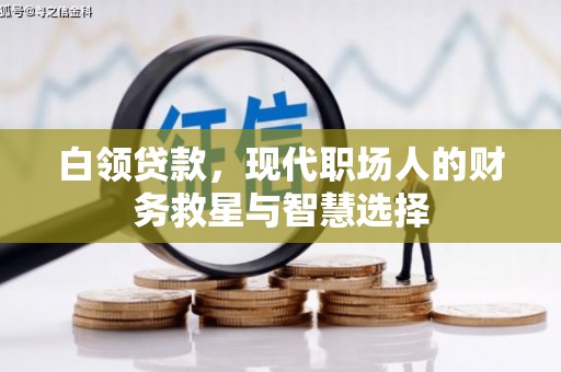天元白领贷款，现代职场人的财务救星与智慧选择