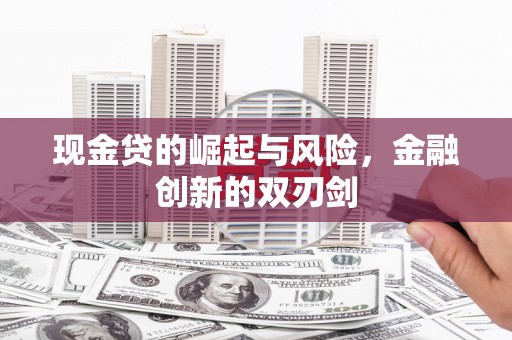天元现金贷的崛起与风险，金融创新的双刃剑