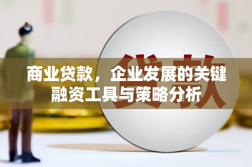 天元商业贷款，企业发展的关键融资工具与策略分析