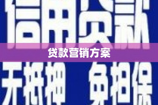 天元贷款营销方案