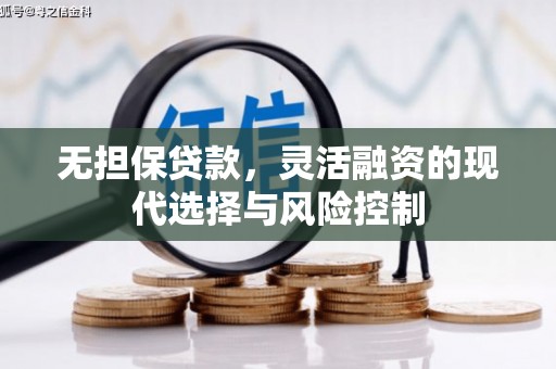 天元无担保贷款，灵活融资的现代选择与风险控制