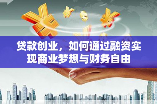 天元贷款创业，如何通过融资实现商业梦想与财务自由