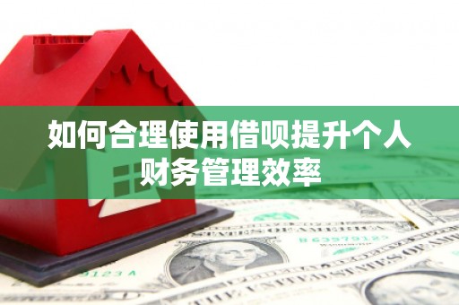 天元如何合理使用借呗提升个人财务管理效率