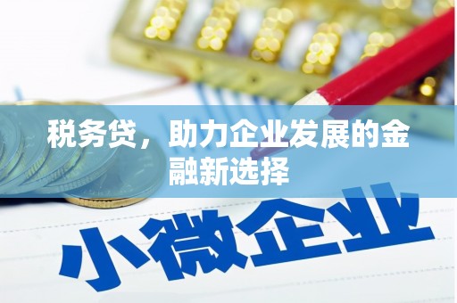 天元税务贷，助力企业发展的金融新选择