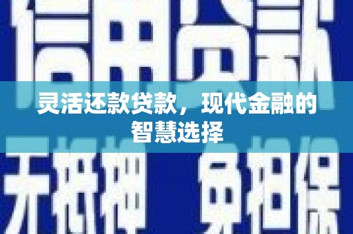 天元灵活还款贷款，现代金融的智慧选择