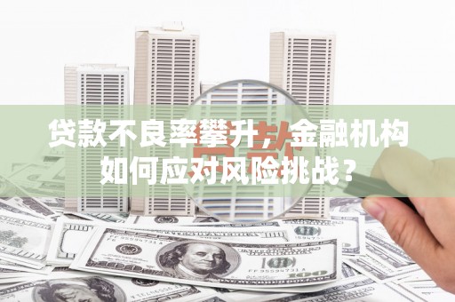 天元贷款不良率攀升，金融机构如何应对风险挑战？
