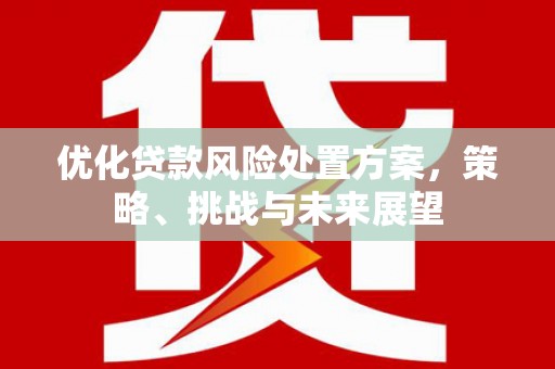 天元优化贷款风险处置方案，策略、挑战与未来展望