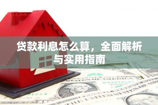 天元贷款利息怎么算，全面解析与实用指南
