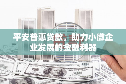 天元平安普惠贷款，助力小微企业发展的金融利器