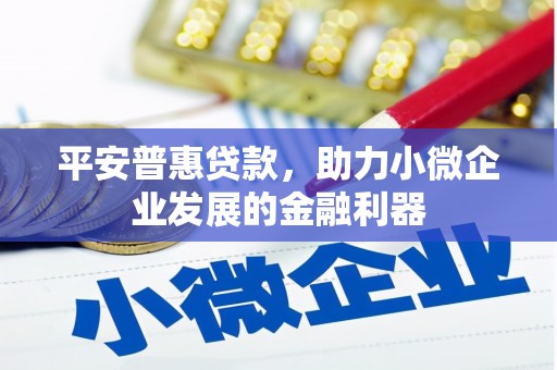 天元平安普惠贷款，助力小微企业发展的金融利器