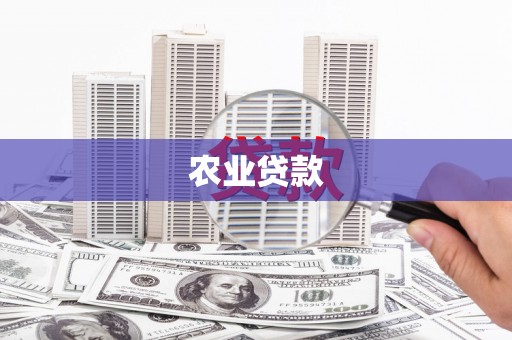 天元农业贷款