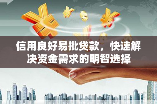 天元信用良好易批贷款，快速解决资金需求的明智选择