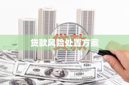 天元贷款风险处置方案