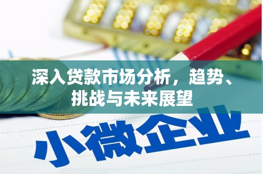 天元深入贷款市场分析，趋势、挑战与未来展望