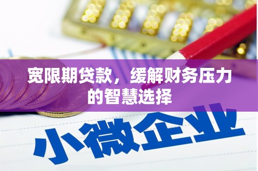 天元宽限期贷款，缓解财务压力的智慧选择