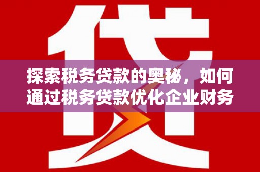 天元探索税务贷款的奥秘，如何通过税务贷款优化企业财务