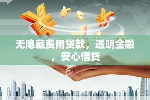 天元无隐藏费用贷款，透明金融，安心借贷