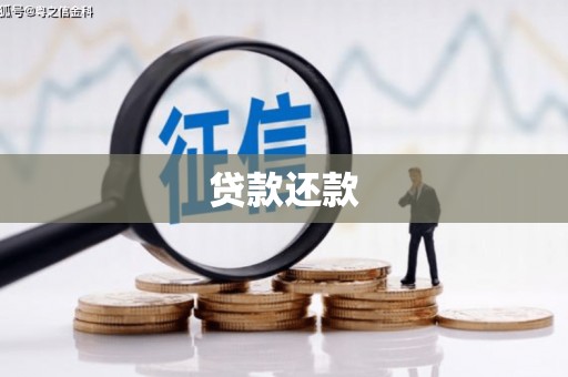 天元贷款还款