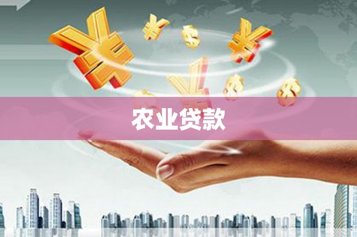 天元农业贷款