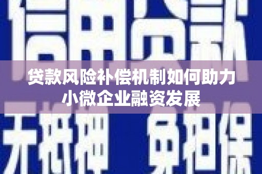 天元贷款风险补偿机制如何助力小微企业融资发展