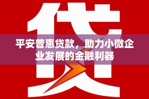 天元平安普惠贷款，助力小微企业发展的金融利器