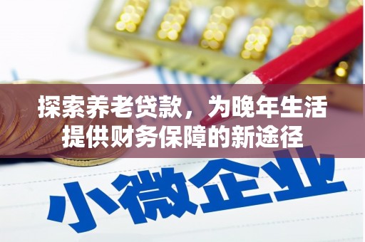 天元探索养老贷款，为晚年生活提供财务保障的新途径
