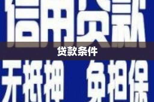 天元贷款条件