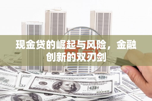 天元现金贷的崛起与风险，金融创新的双刃剑