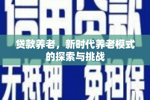 天元贷款养老，新时代养老模式的探索与挑战