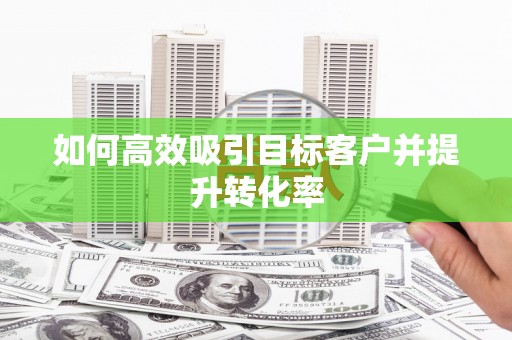 天元如何高效吸引目标客户并提升转化率