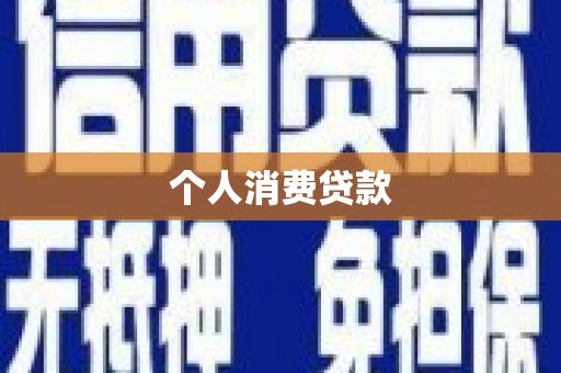 天元个人消费贷款