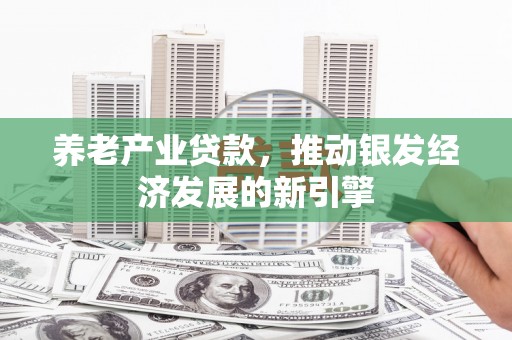 天元养老产业贷款，推动银发经济发展的新引擎