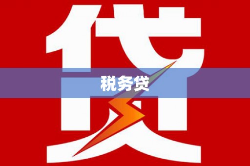 天元税务贷