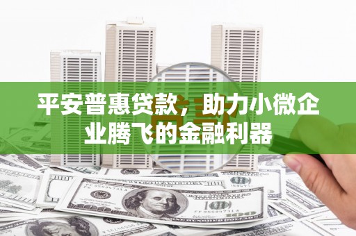 天元平安普惠贷款，助力小微企业腾飞的金融利器