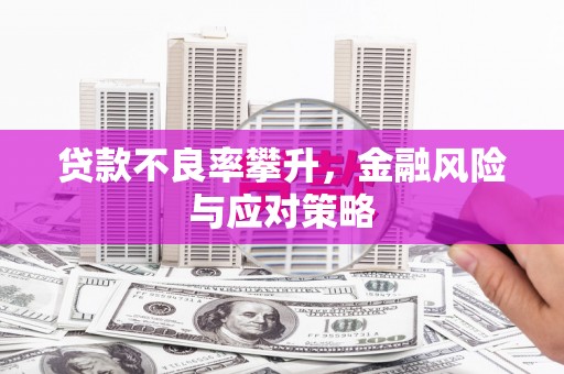 天元贷款不良率攀升，金融风险与应对策略