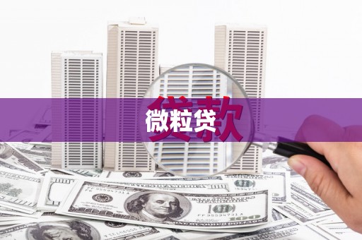 天元微粒贷