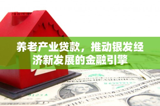 天元养老产业贷款，推动银发经济新发展的金融引擎