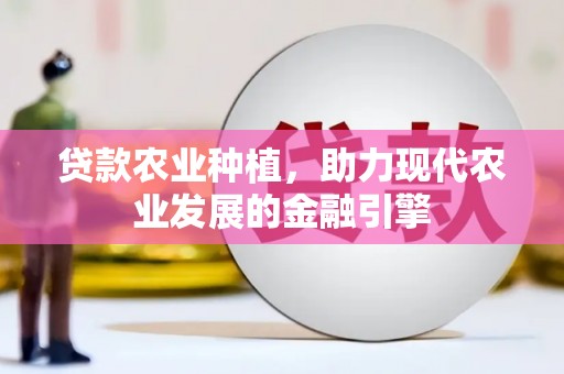 天元贷款农业种植，助力现代农业发展的金融引擎