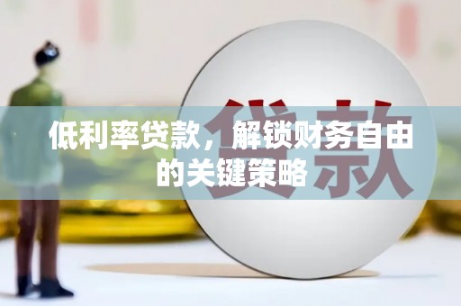 天元低利率贷款，解锁财务自由的关键策略