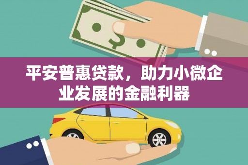 天元平安普惠贷款，助力小微企业发展的金融利器