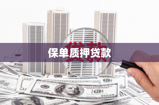 天元保单质押贷款