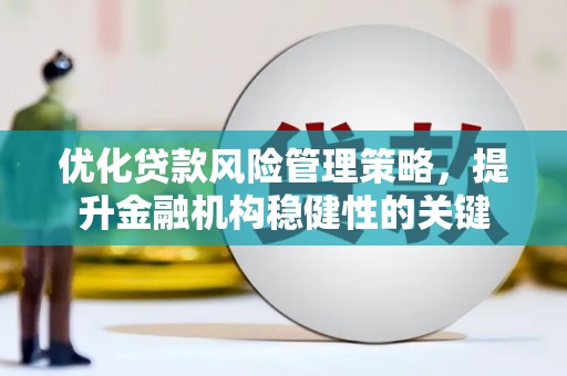 天元优化贷款风险管理策略，提升金融机构稳健性的关键