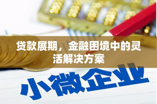 天元贷款展期，金融困境中的灵活解决方案