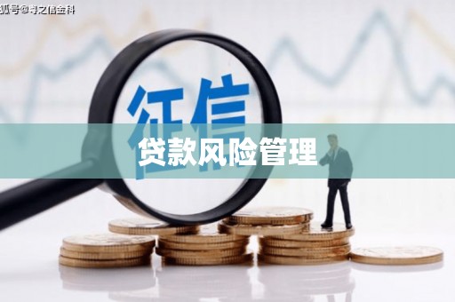 天元贷款风险管理