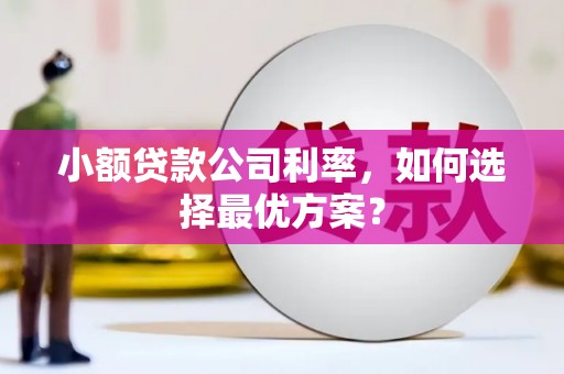 天元小额贷款公司利率，如何选择最优方案？
