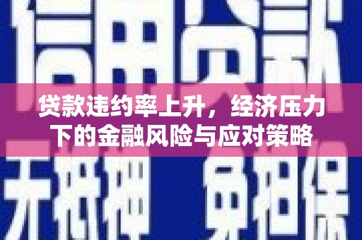 天元贷款违约率上升，经济压力下的金融风险与应对策略