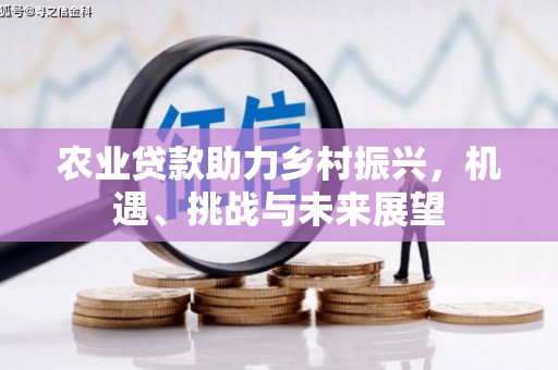 天元农业贷款助力乡村振兴，机遇、挑战与未来展望