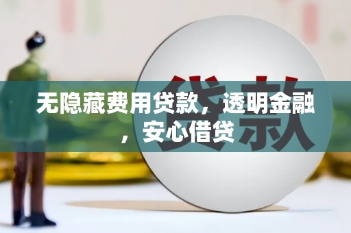天元无隐藏费用贷款，透明金融，安心借贷
