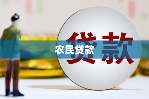 天元农民贷款
